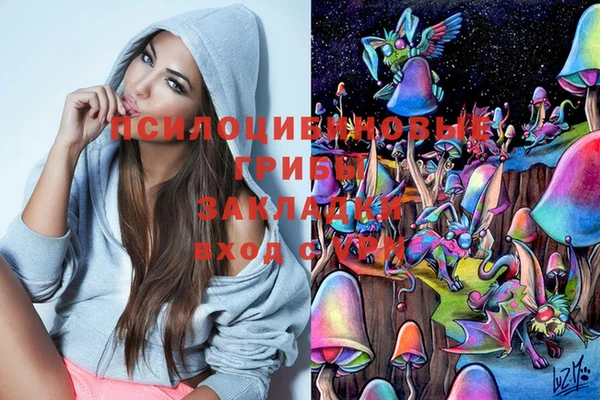 МДПВ Горнозаводск