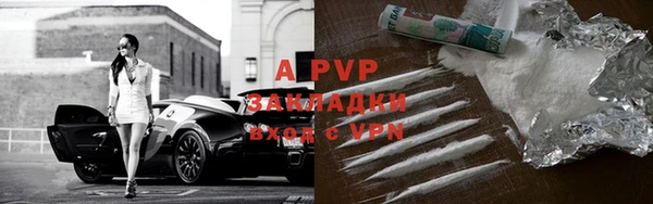 прущие грибы Гусиноозёрск