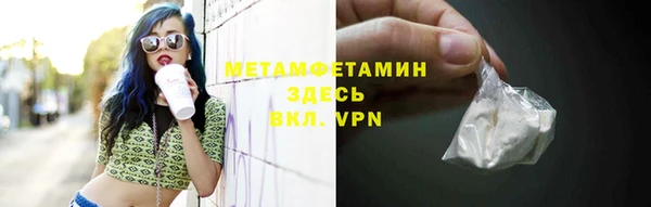 сатива Горняк