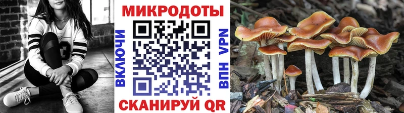 Псилоцибиновые грибы Psilocybe  Железноводск 